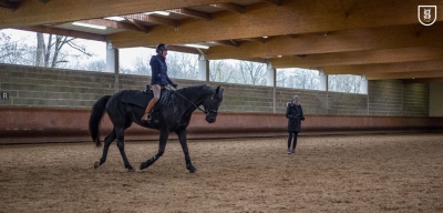 Stage SHF à l'ENE (Saumur) - 24/25 mars 2018