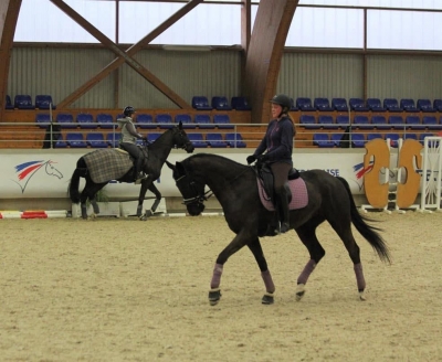 Stage SHF à Mâcon-Chaintré (71) - 2/3 février 2019