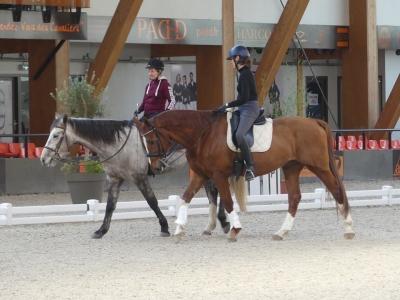 Stage au Boulerie Jump (Pôle Européen du Cheval) - 16/17 février 2019