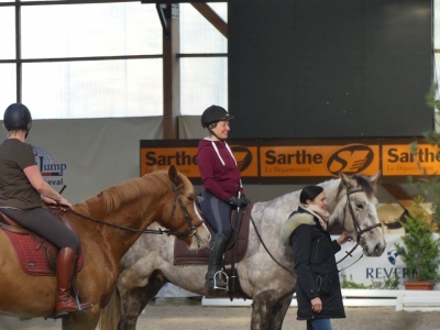 Stage au Boulerie Jump (Pôle Européen du Cheval) - 16/17 février 2019