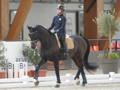 Stage au Boulerie Jump (Pôle Européen du Cheval) - 16/17 février 2019