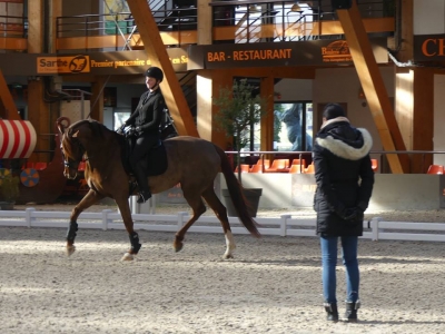 Stage au Boulerie Jump (Pôle Européen du Cheval) - 16/17 février 2019