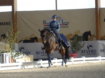 Stage au Boulerie Jump (Pôle Européen du Cheval) - 16/17 février 2019