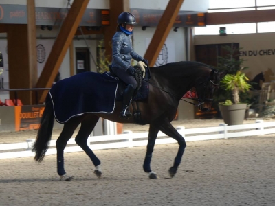 Stage au Boulerie Jump (Pôle Européen du Cheval) - 16/17 février 2019