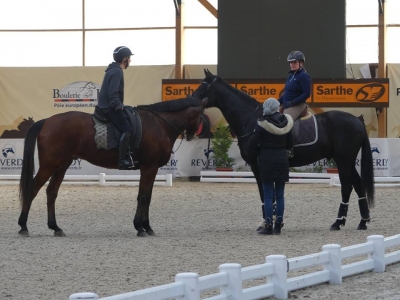 Stage au Boulerie Jump (Pôle Européen du Cheval) - 16/17 février 2019