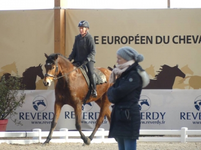 Stage au Boulerie Jump (Pôle Européen du Cheval) - 16/17 février 2019