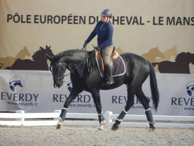 Stage au Boulerie Jump (Pôle Européen du Cheval) - 16/17 février 2019