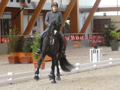 Stage au Boulerie Jump (Pôle Européen du Cheval) - 30/31 mars 2019