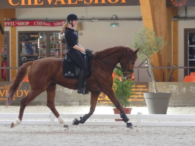 Stage au Boulerie Jump (Pôle Européen du Cheval) - 30/31 mars 2019