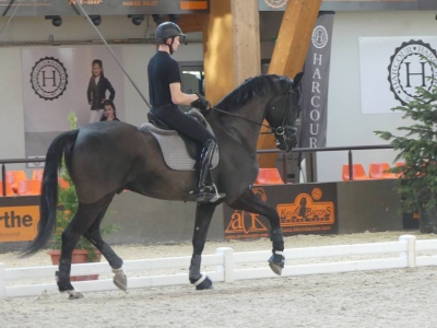 Stage au Boulerie Jump (Pôle Européen du Cheval) - 30/31 mars 2019