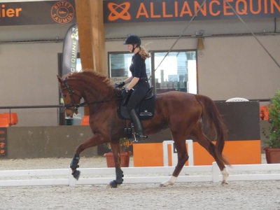 Stage au Boulerie Jump (Pôle Européen du Cheval) - 30/31 mars 2019