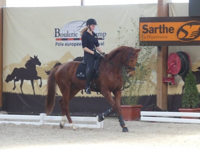 Stage au Boulerie Jump (Pôle Européen du Cheval) - 30/31 mars 2019