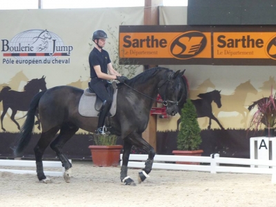 Stage au Boulerie Jump (Pôle Européen du Cheval) - 30/31 mars 2019