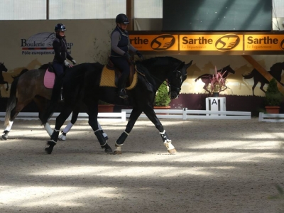 Stage au Boulerie Jump (Pôle Européen du Cheval) - 30/31 mars 2019