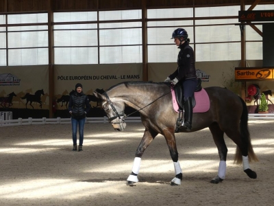 Stage au Boulerie Jump (Pôle Européen du Cheval) - 30/31 mars 2019