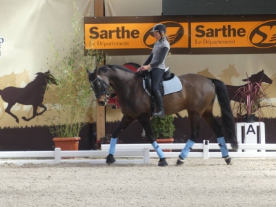 Stage au Boulerie Jump (Pôle Européen du Cheval) - 30/31 mars 2019