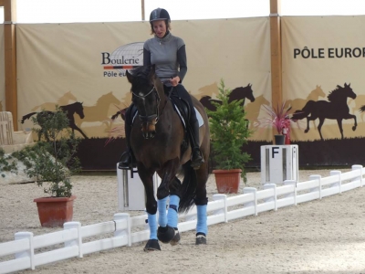 Stage au Boulerie Jump (Pôle Européen du Cheval) - 30/31 mars 2019