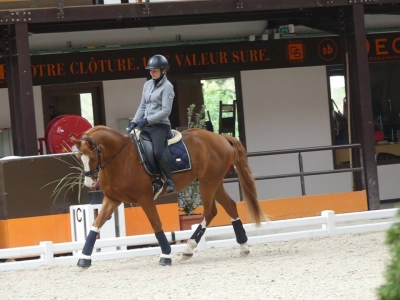 Stage au Boulerie Jump (Pôle Européen du Cheval) - 30/31 mars 2019