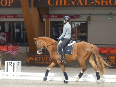 Stage au Boulerie Jump (Pôle Européen du Cheval) - 30/31 mars 2019