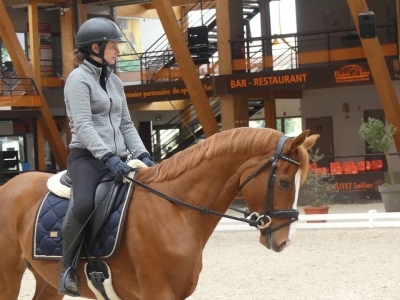 Stage au Boulerie Jump (Pôle Européen du Cheval) - 30/31 mars 2019