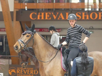 Stage au Boulerie Jump (Pôle Européen du Cheval) - 30/31 mars 2019