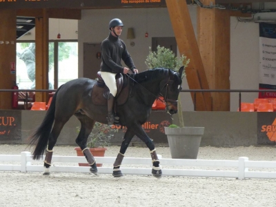 Stage au Boulerie Jump (Pôle Européen du Cheval) - 30/31 mars 2019