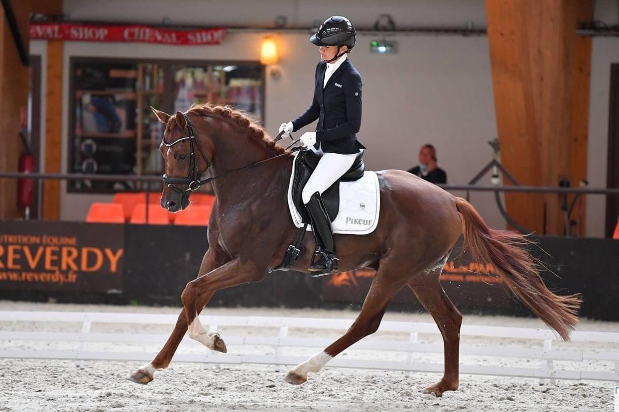 3yo French Champion Stallions in 2020